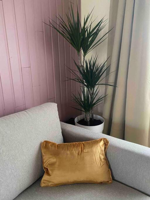 Appartement Ruim Duplexappartement Met Groot Terras *