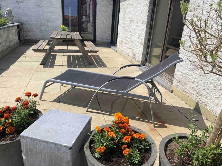 Ruim Duplexappartement Met Groot Terras Oostende