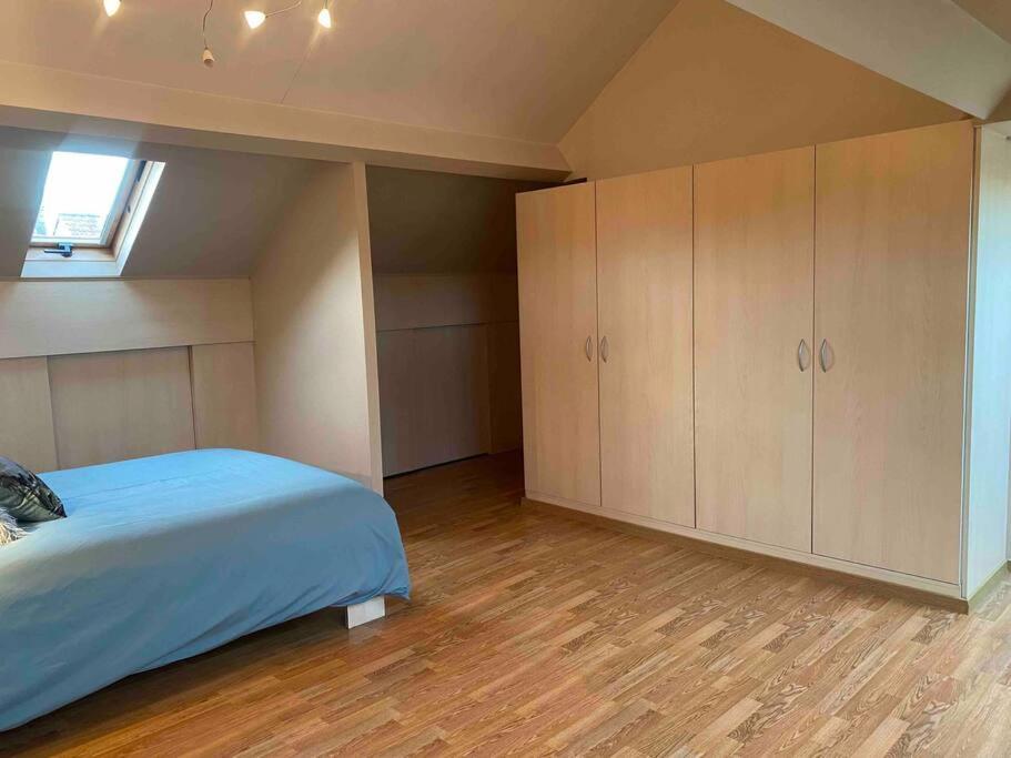 Ruim Duplexappartement Met Groot Terras Appartement *